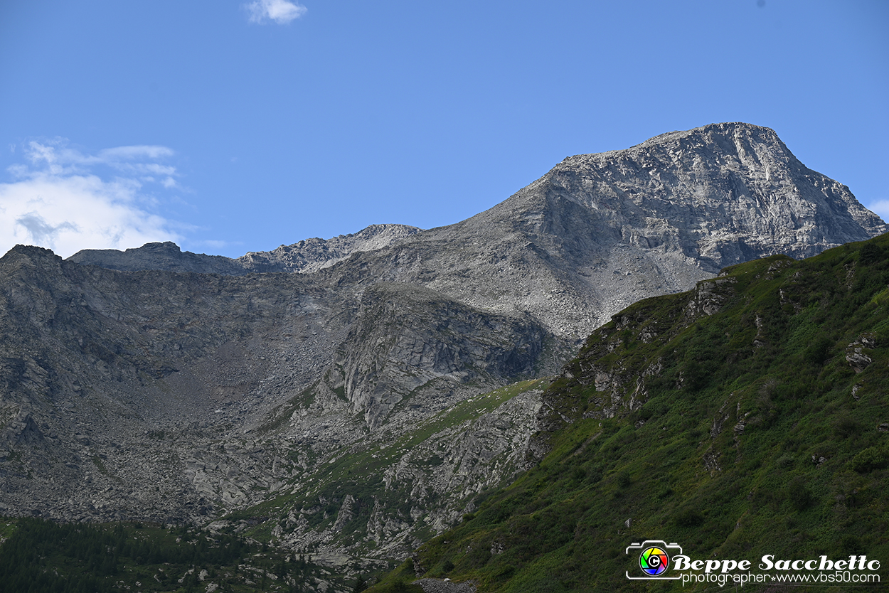 VBS_1 -  Plateau du Mont-Cenise, Grand Croix, Marmotte_-_0097 mt.jpg